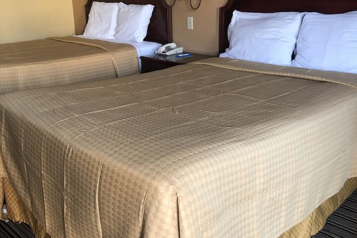 2 Double Beds (1 of 15)