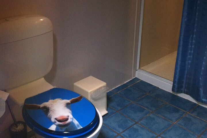 Clean Restrooms