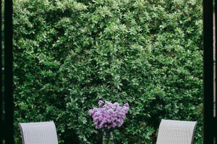 Spa and Wellness Pictures