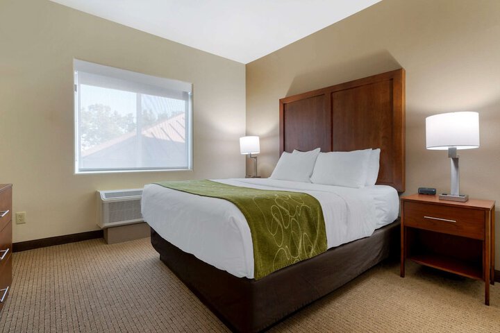 1 King Bed Suite (6 of 16)