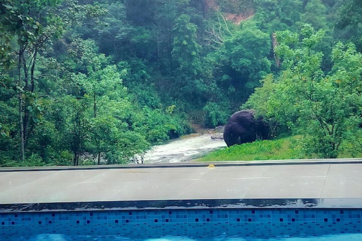 Pool 9 of 21