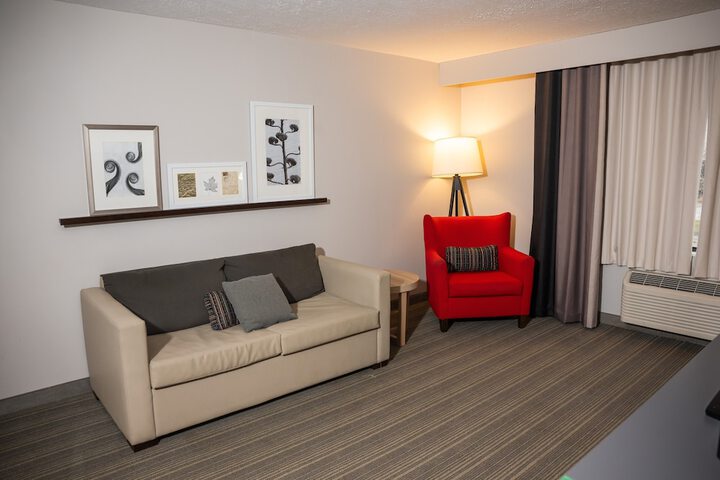 1 King Bed Accessible (2 of 13)