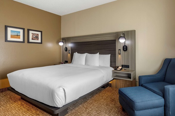 Standard | King Bed (1 of 17)