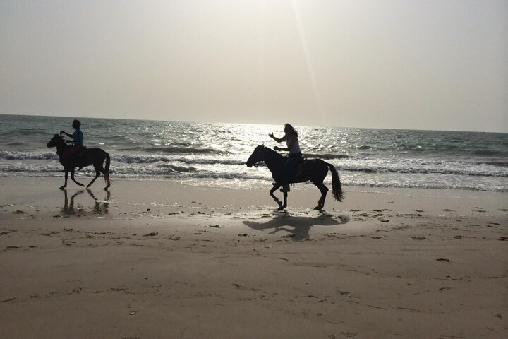 Beach 55 of 62