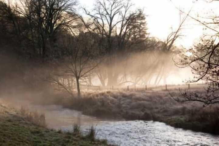 Property Grounds 35 of 39