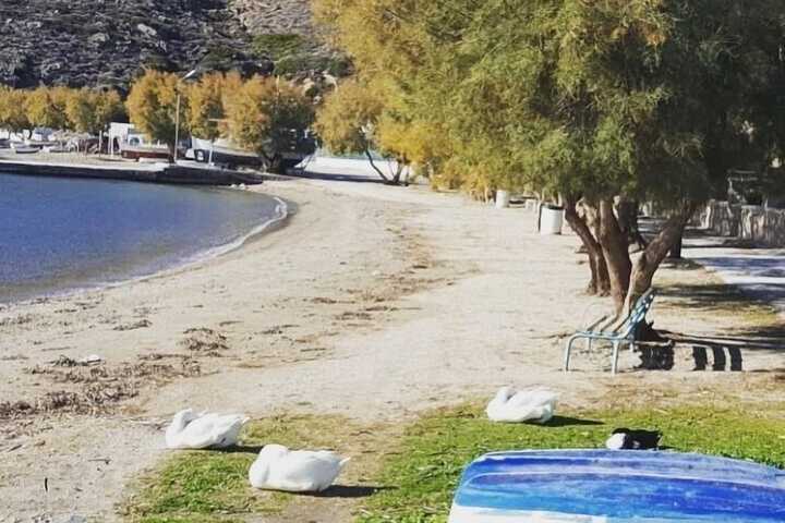 Beach 82 of 106