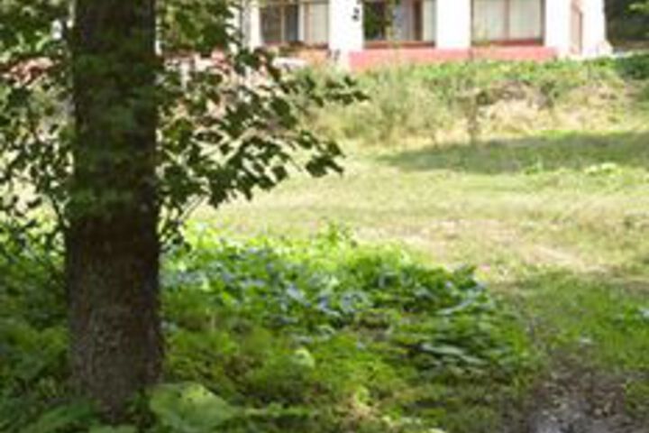 Mengen - Yenice Orman Evi