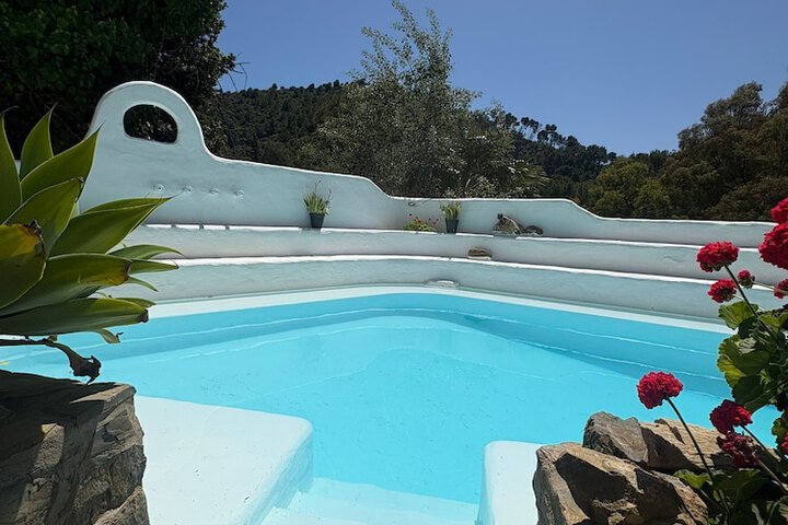 Pool 43 of 69