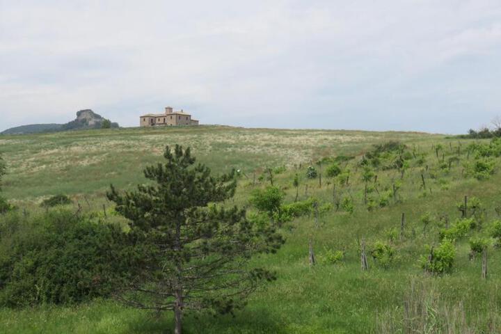 Photo 29
