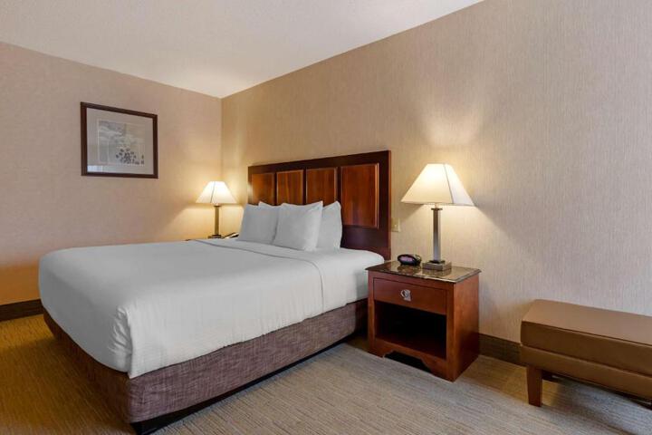 1 King Bed (6 of 9)