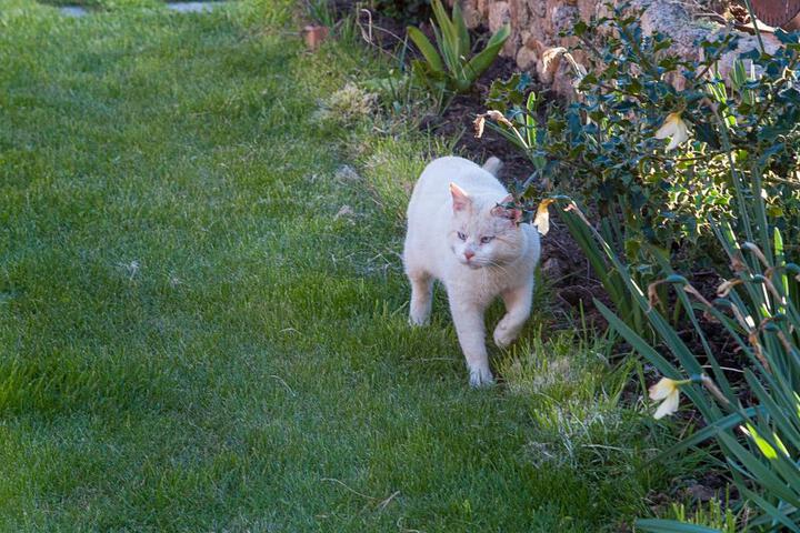 Photo 19