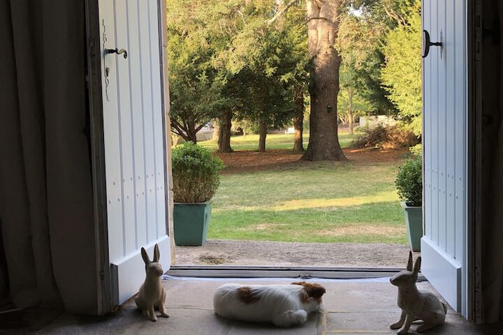 Pet Friendly 108 of 144