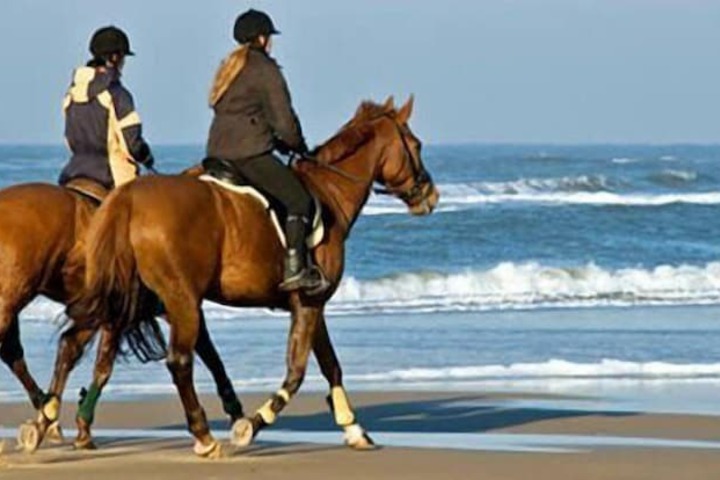 Horseback riding