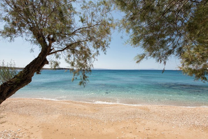 Beach 147 of 169