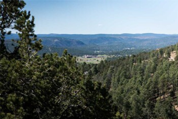 Property Grounds 18 of 25