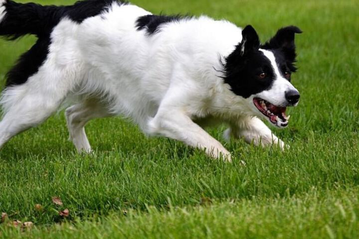 Property Grounds 23 of 30