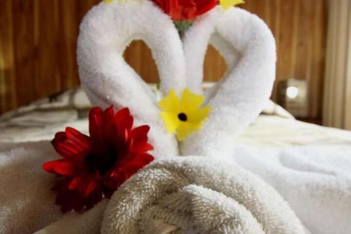 Wellness Treatments