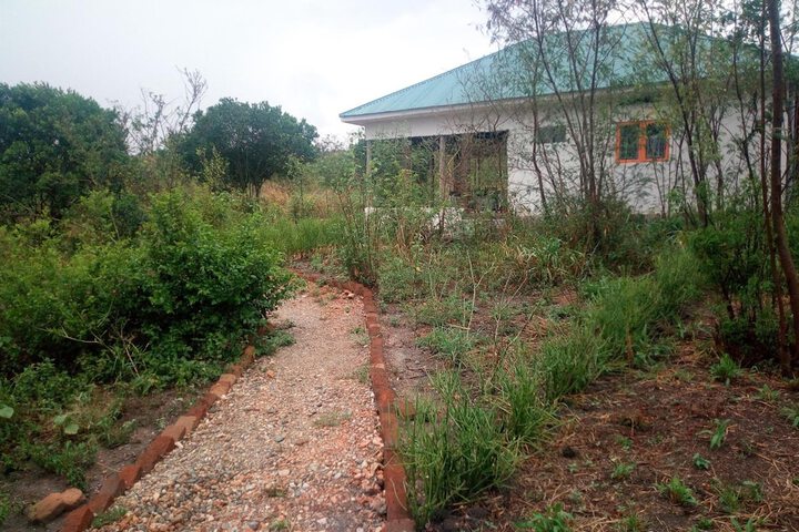 Property Grounds 47 of 58