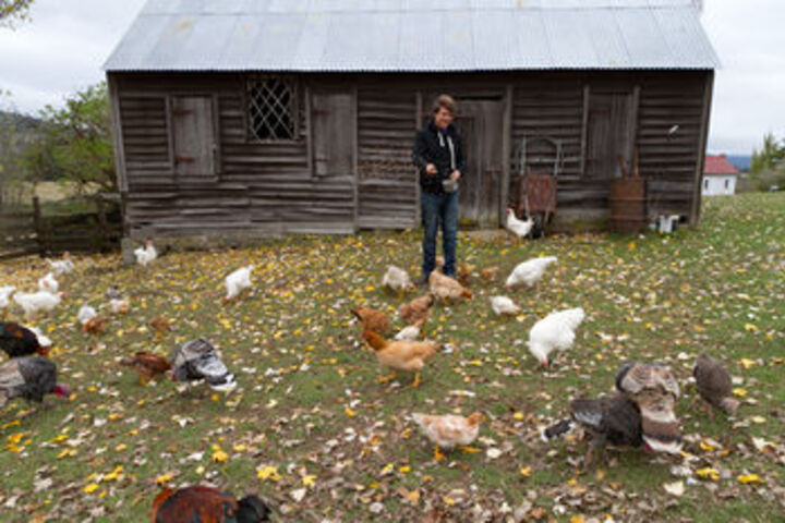 Property Grounds 66 of 74