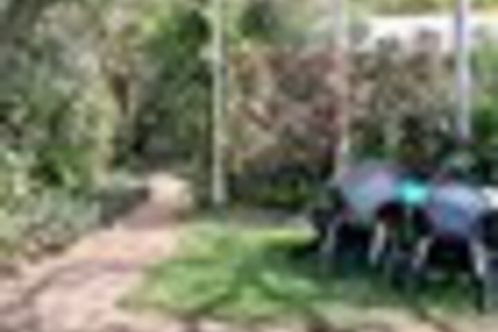 Terrace/Patio 128 of 267