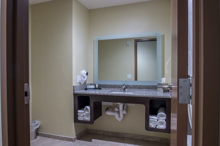 1 King Bed Accessible (5 of 17)