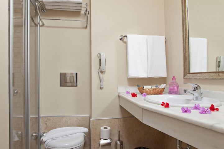 Bathroom Interior Photo