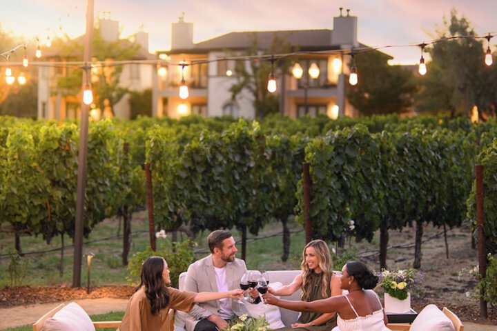 Vineyard