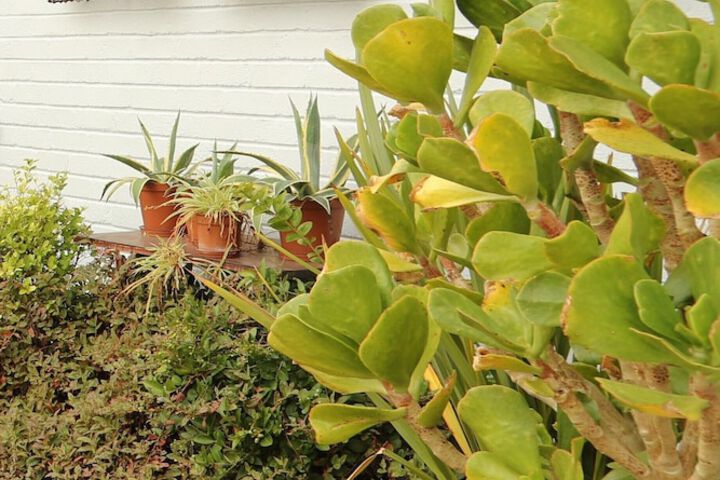 Property Grounds 43 of 45