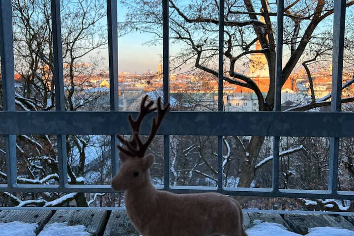 Terrace/Patio 91 of 172