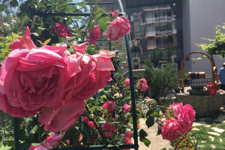 Apartments Milena