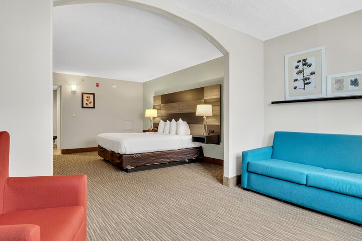 1 King Bed Suite (8 of 25)