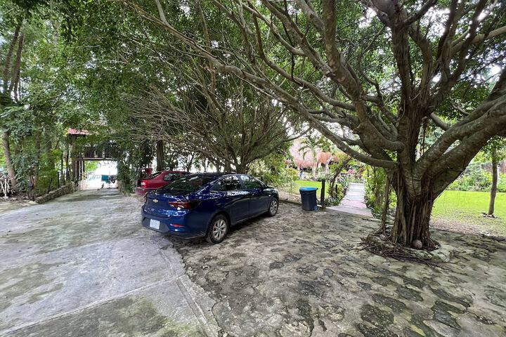 Property Grounds 88 of 98