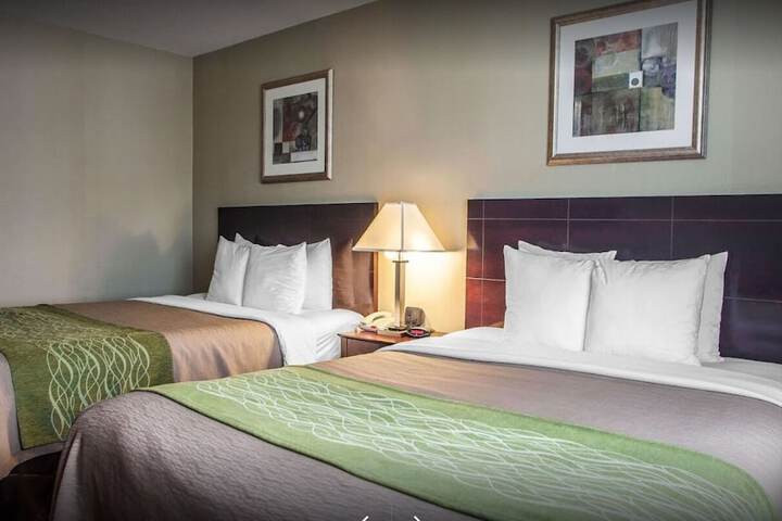 2 Queen Beds (1 of 3)