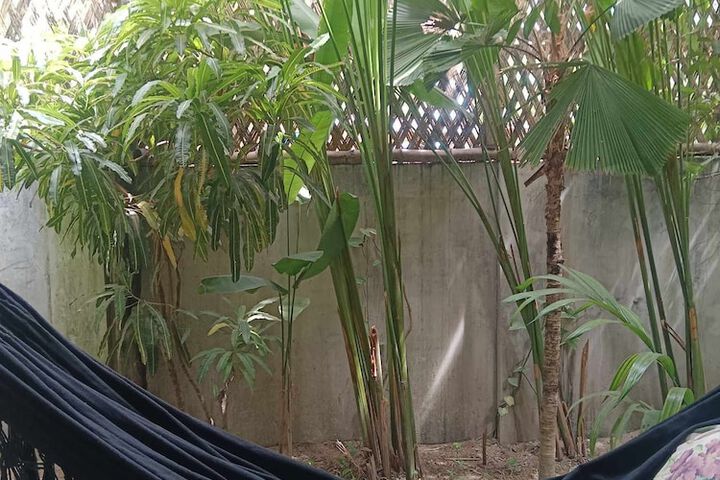 Terrace/Patio 6 of 20