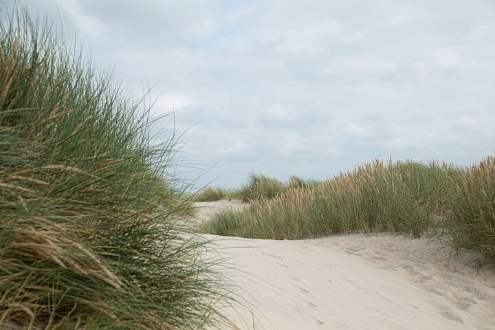 Beach 45 of 110