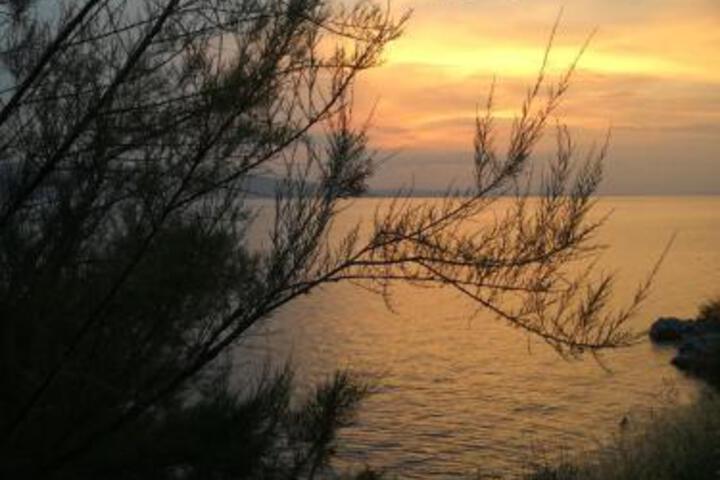 General 2 of 24