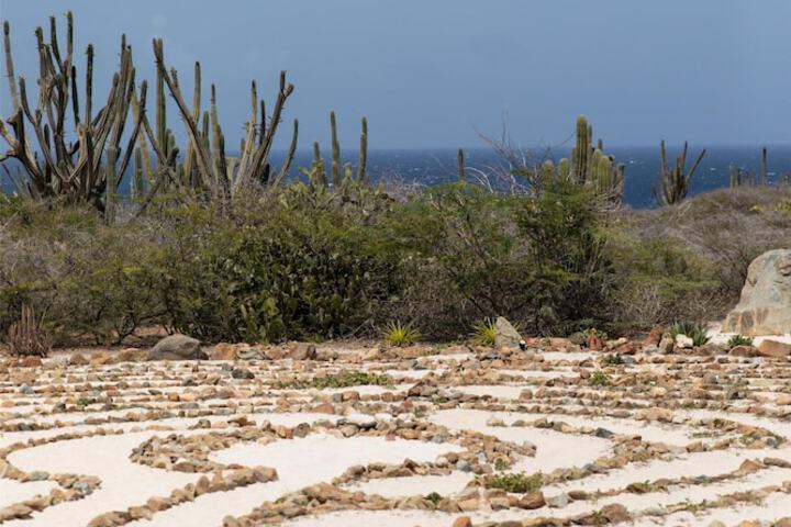 Outdoor Activities 62 of 71