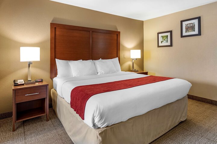 1 King Bed Accessible (7 of 22)