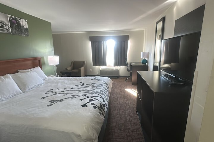 Standard | King Bed (25 of 35)
