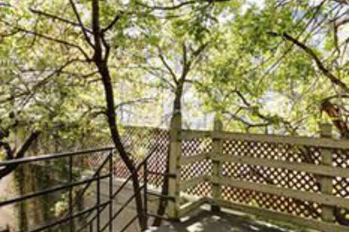 Terrace/Patio 29 of 30