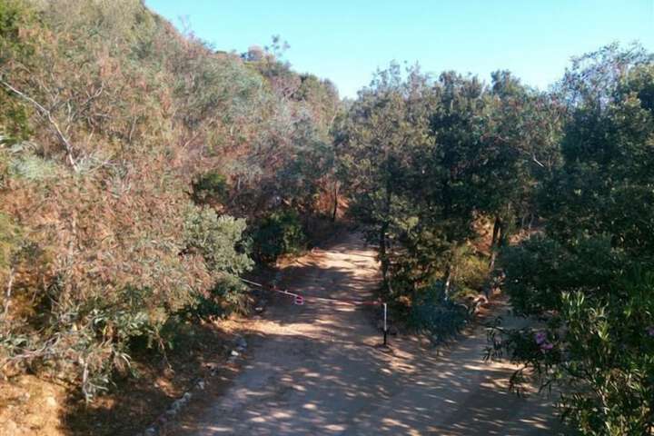 Property Grounds 12 of 27