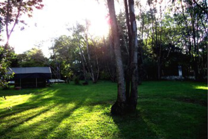 Property Grounds 27 of 56