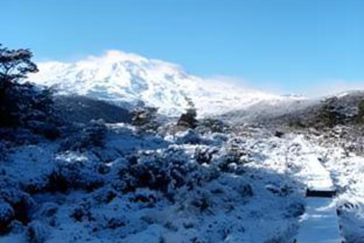 Surrounding environment