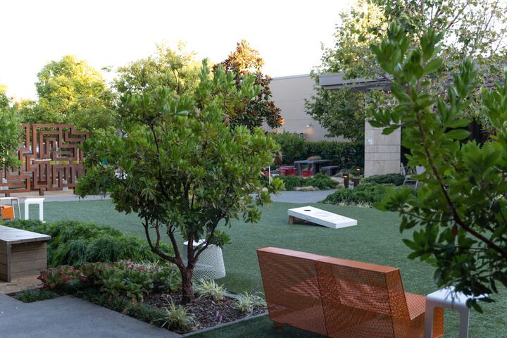 Garden