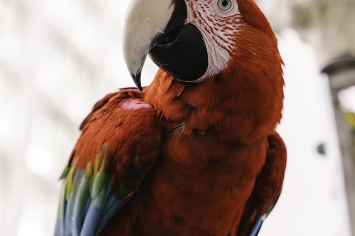 Hotel Interior 6 of 84