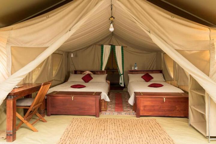 Hammerkop Migration Camp