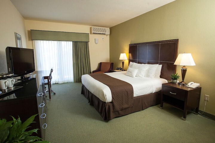 1 King Bed (1 of 7)