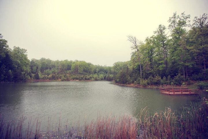 Property Grounds 18 of 31