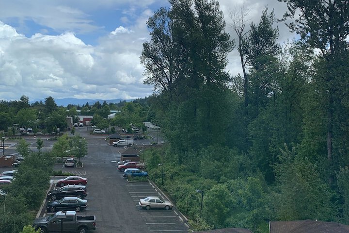 View from room