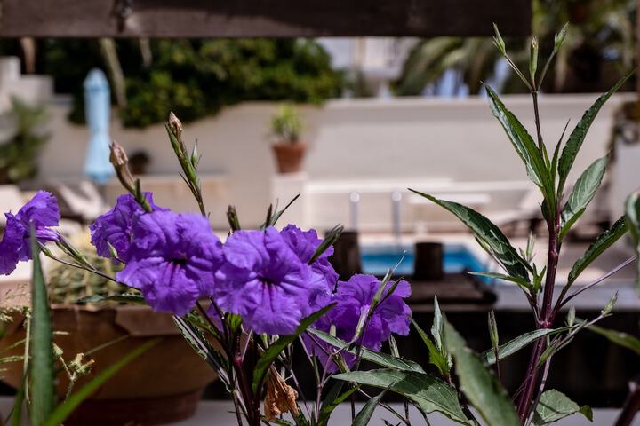 Pool 48 of 75